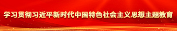 乱肏视频免费观看学习贯彻习近平新时代中国特色社会主义思想主题教育